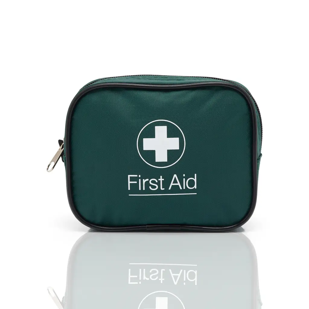 One Person Travel First Aid Kit In Green Zipped Bag