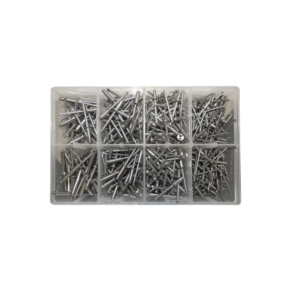 Assorted Stainless Steel Rivets (500 PCS)