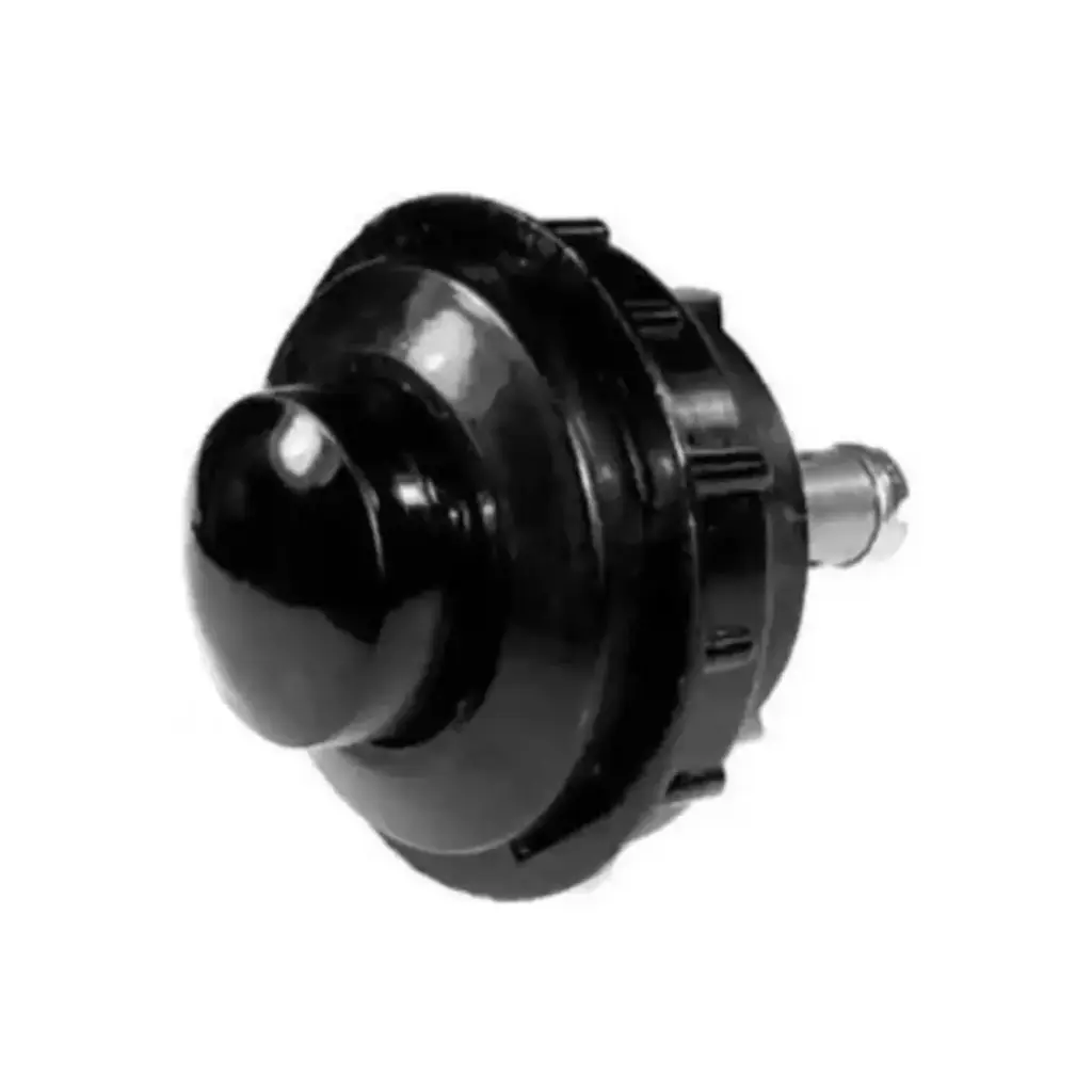 Black Button Switch 