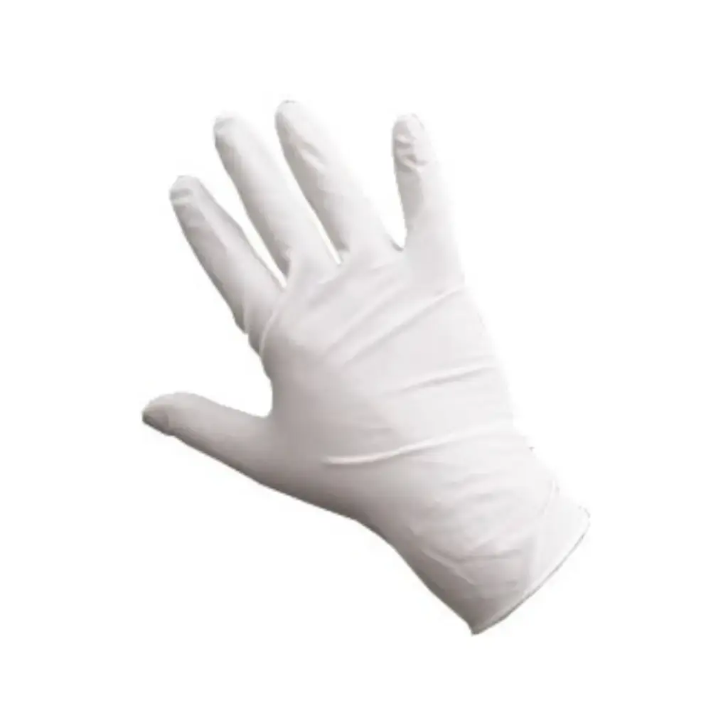 Latex Powder-Free Gloves (x100)