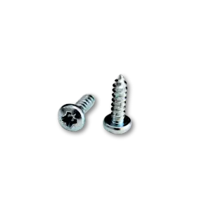 Self Tapping Screws (100 PCS)